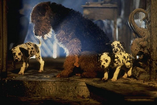 Лучшие фильмы про собак