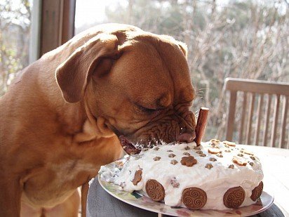 О, какой вкусный тортик!